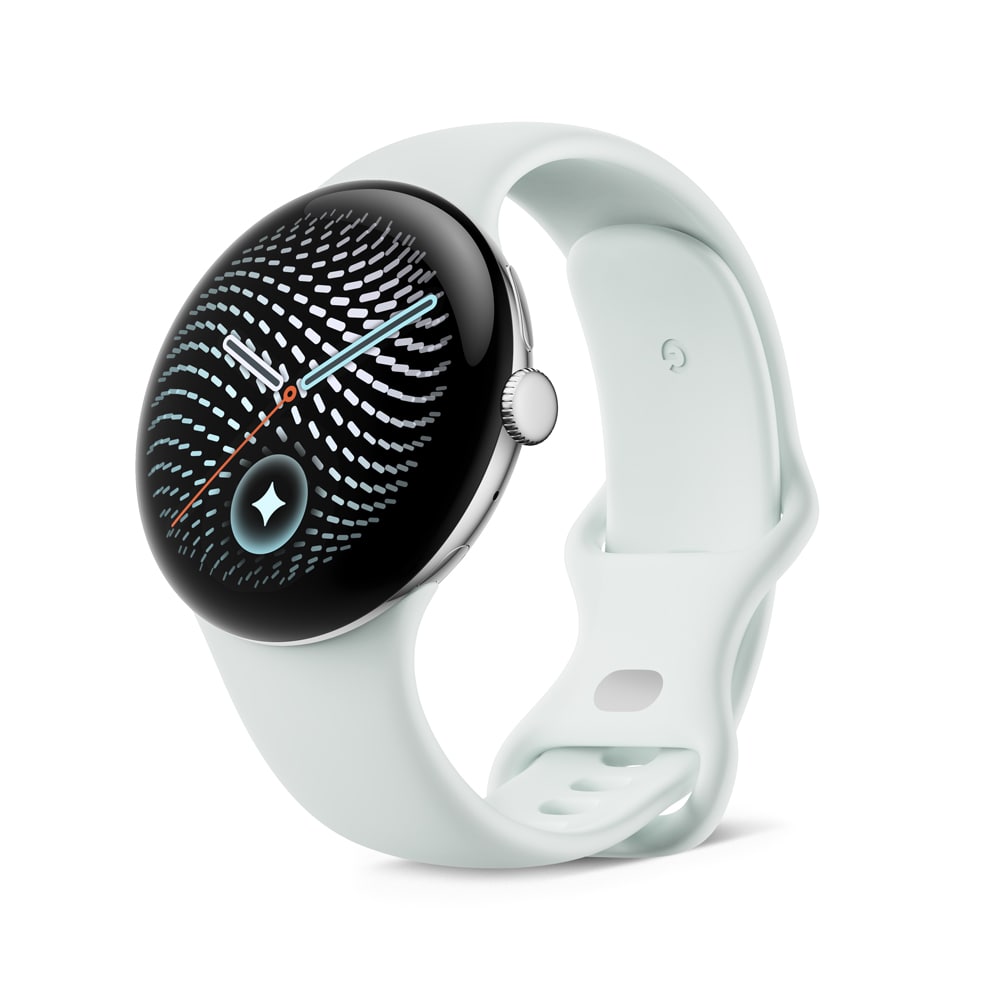 Google�i�O�[�O���j&nbsp;Google Pixel Watch(45 mm)�A�N�e�B�u �o���h(�� 2 ����)Fog S�T�C�Y&nbsp;GA11625-WW