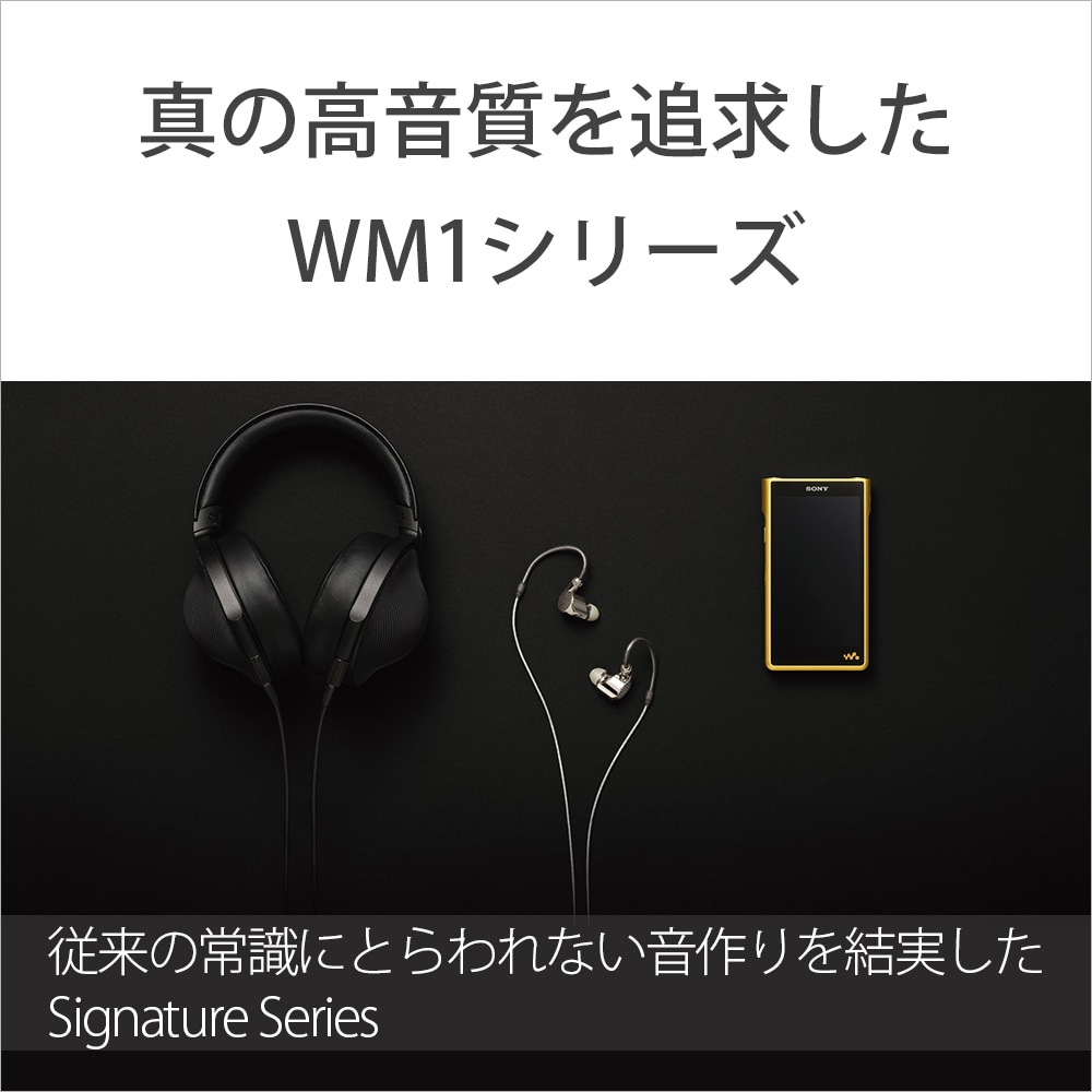 SONYi\j[j EH[N}WM1V[Y[[^Cv] NW-WM1ZM2