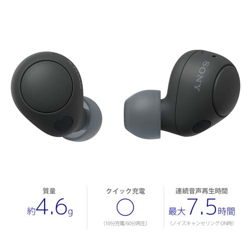 SONY（ソニー） 完全ワイヤレスノイズキャンセリングステレオ