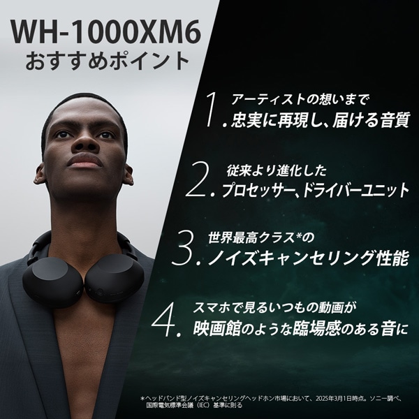 SONYi\j[j CXmCYLZOXeIwbhZbg WH-1000XM6 SM