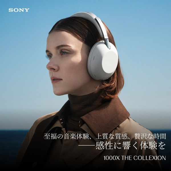 SONY（ソニー） ワイヤレスノイズキャンセリングステレオヘッドセット