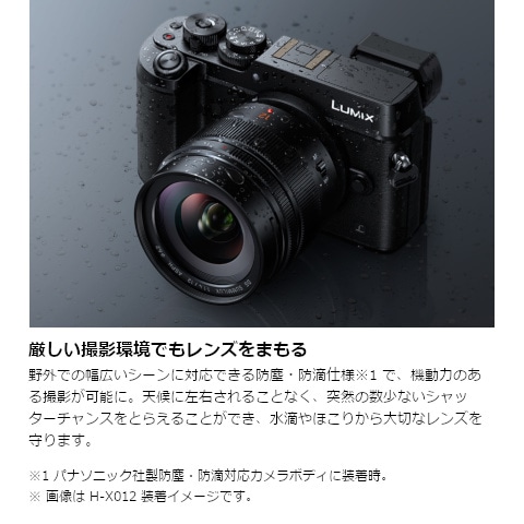 Panasonic（パナソニック） 交換用レンズ LEICA DG SUMMILUX 12mm / F1