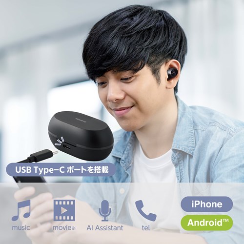 GR CXCz Bluetooth  AACΉ LBT-TWS12BK