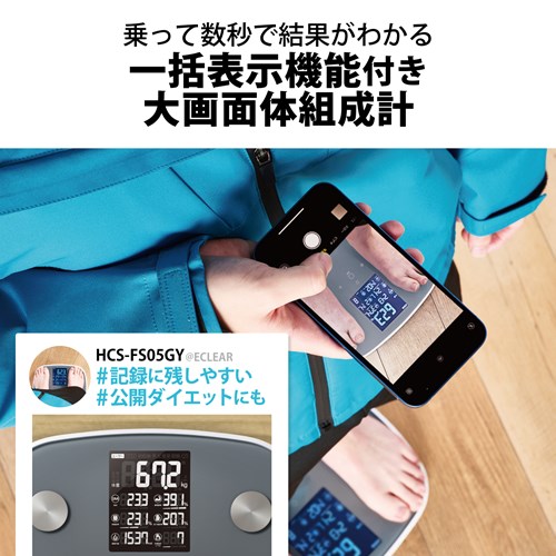 GR ECLEAR ̑gv HCS-FS05GY