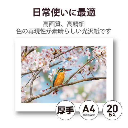 GR v^[p ʐ^p A4 20  EJK-HQA420