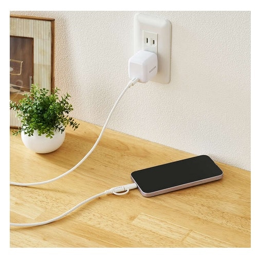 GR 2in1P[u(USB Type-C - USB Type-C/Lightningϊ/MFiF) MPA-CCLAD10WH