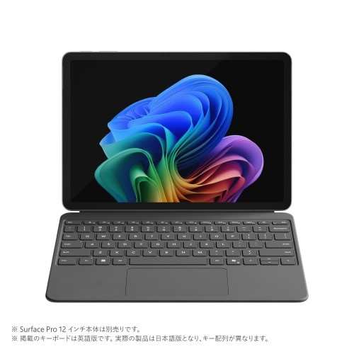 Microsofti}CN\tgj Surface Pro 12 C` L[{[h EP2-32032
