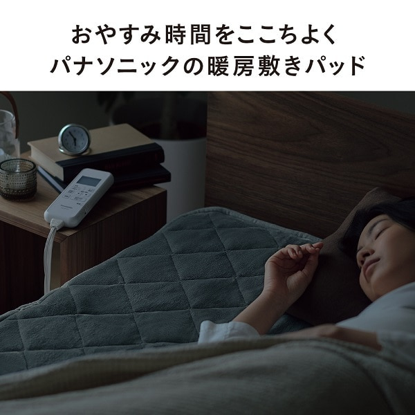 Panasonicipi\jbNj g[~pbh DB-BM1L-H