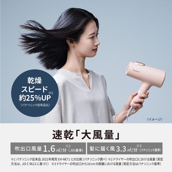 Panasonic（パナソニック） ヘアードライヤー イオニティ｜EH-NE7L-G 