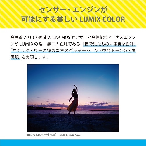 Panasonicipi\jbNj ~[XJ@LUMIX G100D DC-G100DV-K