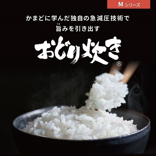 Panasonicipi\jbNj ψIHW[ъ@ǂ萆@MV[Y SR-M10B-K