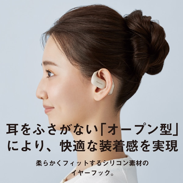 Panasonicipi\jbNj I[v^SCXCz RB-F10D-C