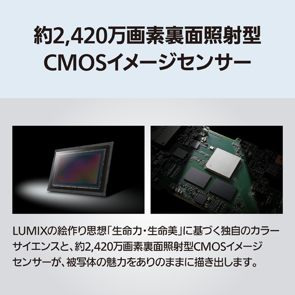 Panasonicipi\jbNj ~[XJ@LUMIX DC-S1M2ES@{fB DC-S1M2ES