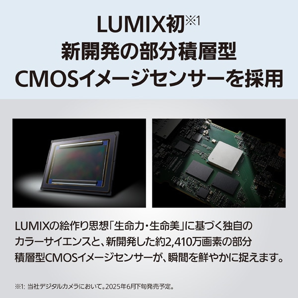 Panasonicipi\jbNj ~[XJ@LUMIX DC-S1M2@{fB DC-S1M2
