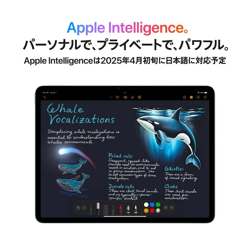 AppleiAbvj 13C`iPad Air iM3j Wi-Fif 256GB MCNR4J/A