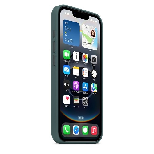 AppleiAbvj iPhone 16eVR[P[X MD3X4FE/A