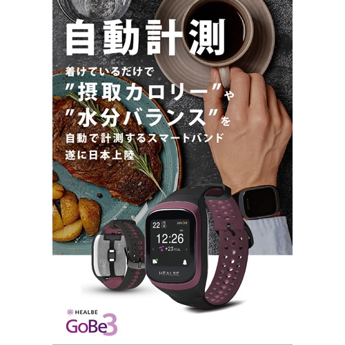 ＨＥＡＬＢＥ GoBe3 Black/Gray（ヒールビーゴービー3） ブラック 