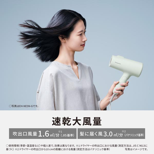 Panasonicipi\jbNj wA[hC[@CIjeB EH-NE5N-G