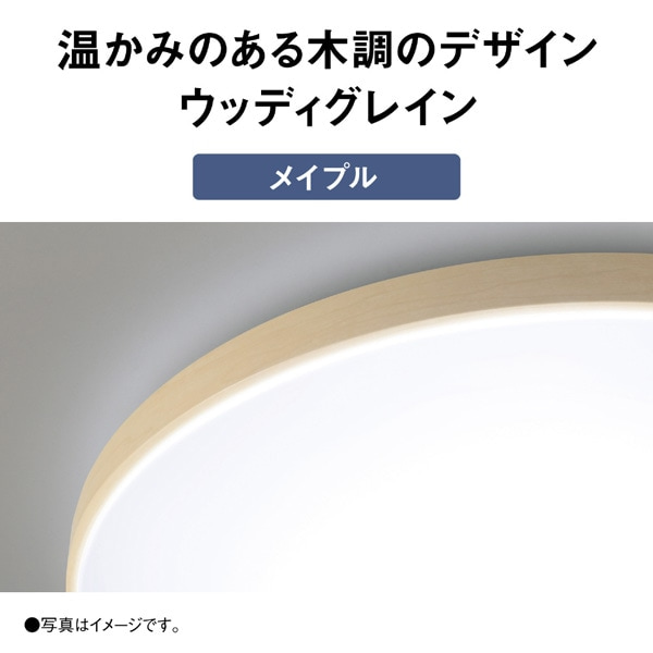 Panasonic�i�p�i�\�j�b�N�j&nbsp;�p���b�NLED�V�[�����O���C�g �J���[�t���[���V���[�Y�@�E�b�f�B�O���C��&nbsp;HH-CN0848A-M