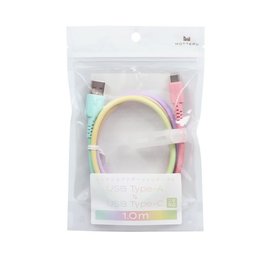 MOTTERUibej Of[VP[u USB-A to USB-C MOT-SCBACG100-SE