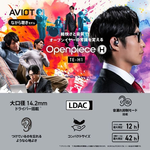 AVIOTiArIbgj I[vC[Cz TE-H1-BK