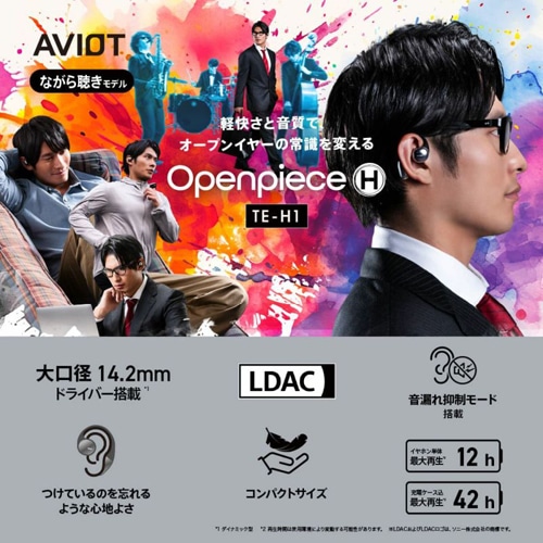 AVIOTiArIbgj I[vC[Cz TE-H1-NV
