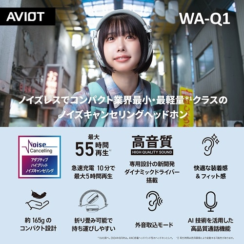 AVIOTiArIbgj IC[^CXwbhz WA-Q1-BE