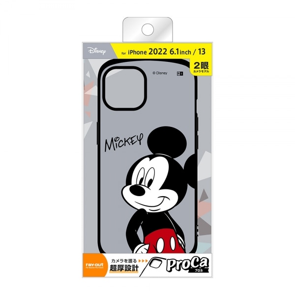 CAEg iPhone 14/13pP[X RT-DP36AC3/MK2