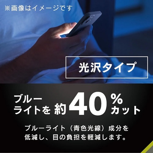 gjeB iPhone 16e / iPhone 14 / 13 / 13 Pro Ռz&u[Cgጸ ʕیtB  TR-IP25S-PF-SKBCCC