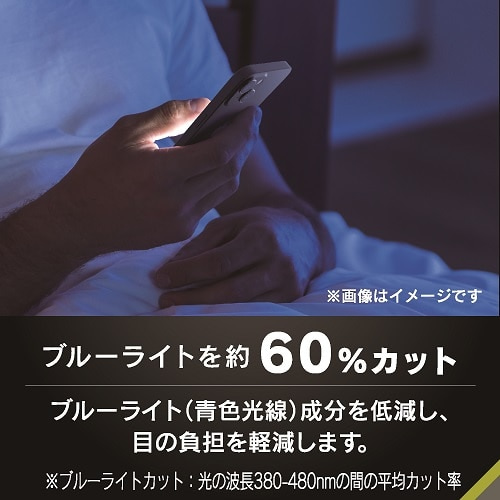 gjeB iPhone 16e / iPhone 14 / 13 / 13 Pro tJo[ 60%u[Cgጸ ʕی십KX TR-IP25S-GLI-CSB6CC