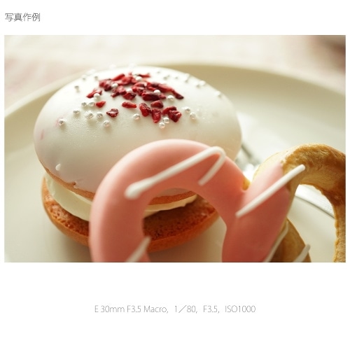 SONYi\j[j pY@\j[d}Eg SEL30M35