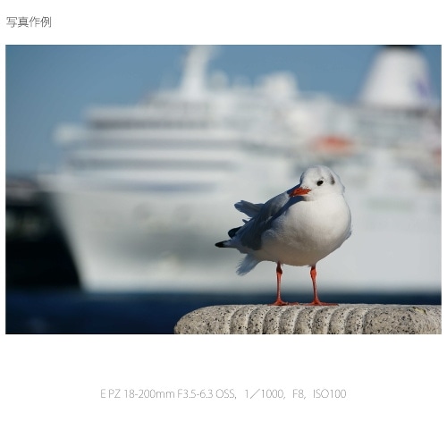 SONYi\j[j pY@\j[d}Eg SELP18200