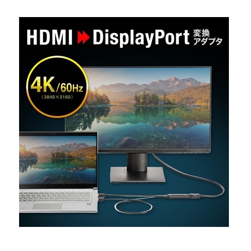 TTvC HDMI-DisplayPortϊA_v^i4K/60Hzj AD-HD31DP