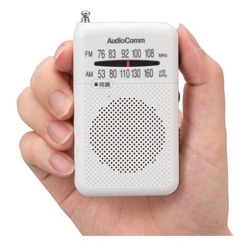 Audio Comm |PbgWI RAD371S--PW