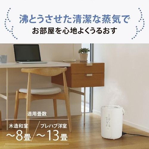 �ۈ�}�z�[�r��&nbsp;�X�`�[����������&nbsp;EE-RV50 WA