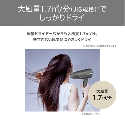 TESCOM (テスコム) プロテクトイオン ヘアドライヤー|TD360A TESCOM (テスコム) プロテクトイオン ヘアドライヤー|TD360A