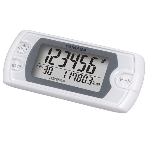 Rvv |Pbg EX-500-W