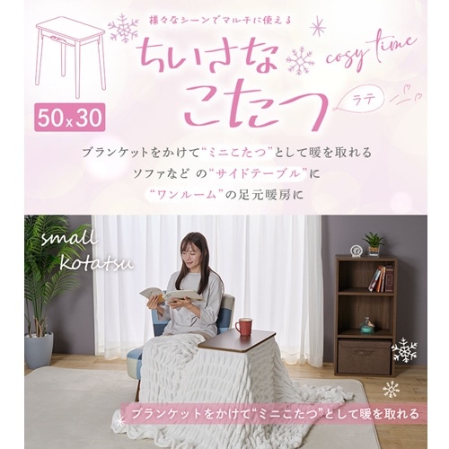 ATvCX Ȃuev 530F(BR)