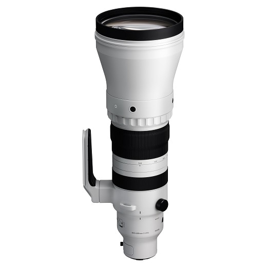 SIGMAiVO}j y󒍐Yiz300-600mm F4 DG OS Sports L}Egp 300-600mm F4 DG OS Sײ (ײ)