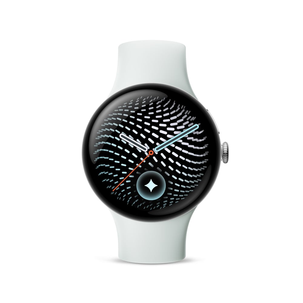 Google�i�O�[�O���j&nbsp;Google Pixel Watch(45 mm)�A�N�e�B�u �o���h(�� 2 ����)Fog S�T�C�Y&nbsp;GA11625-WW