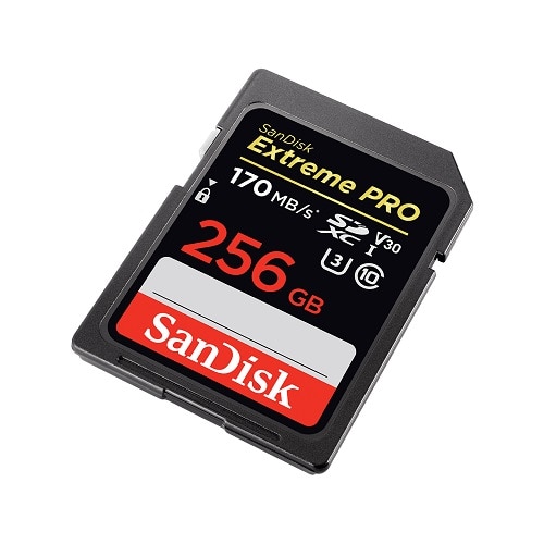 SANDISK（サンディスク） ＳＤカード｜SDSDXXY-256G-JNJIP｜[通販