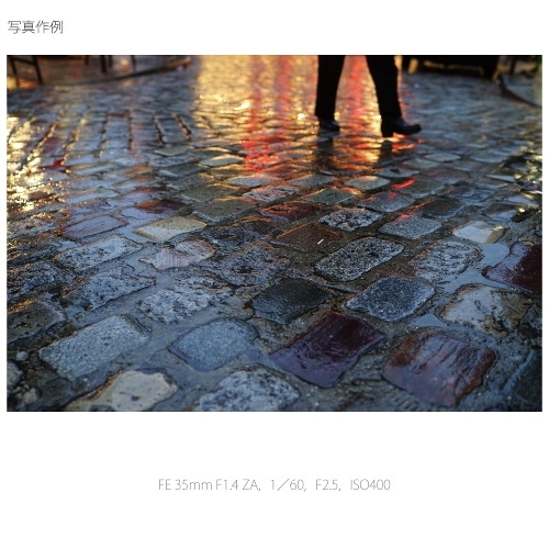 SONYi\j[j pY@\j[d}Eg SEL35F14Z