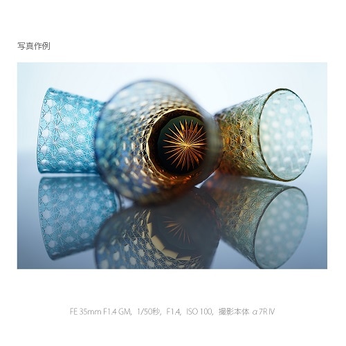 SONYi\j[j pY@\j[d}Eg SEL35F14GM