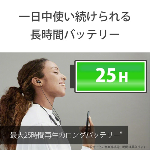 SONYi\j[j awbhz WI-C100 WZ
