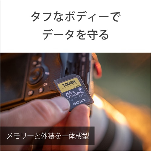 SONYi\j[j rcJ[h SF-M512T T