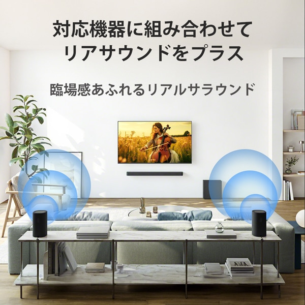 SONYi\j[j AXs[J[@BRAVIA Theatre Rear 8 SA-RS8