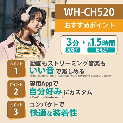 SONYi\j[j Bluetoothwbhz WH-CH520 PZ