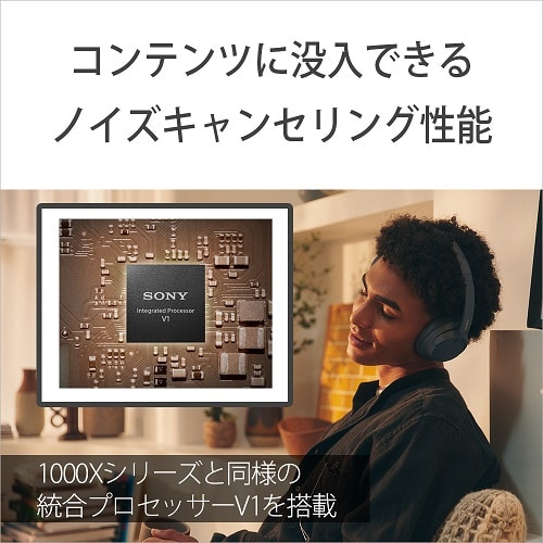 SONYi\j[j CXmCYLZOXeIwbhZbg WH-CH720N PC