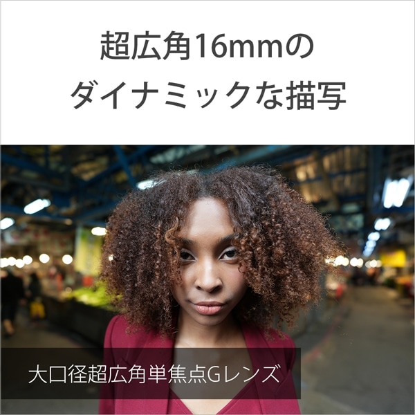 SONYi\j[j fW^J[E}Eg]pY SEL16F18G