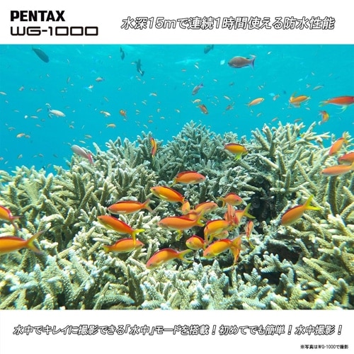 PENTAX iy^bNXj hfW^J WG-1000 ذ